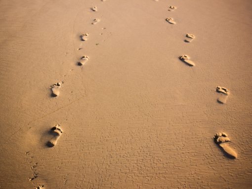 foot prints on brown sand